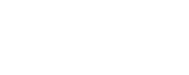 Aktur Kargo Dağıtım